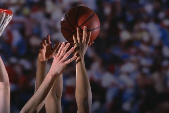 数据工具助力三月疯狂竞猜：七大网站盘点