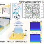 内置氧梯度忆阻器助力强化学习实现更快更稳训练