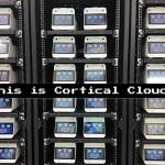 人类脑细胞驱动的“生物数据中心”正在建设中：澳企 Cortical Labs 推进超低功耗脑细胞计算机