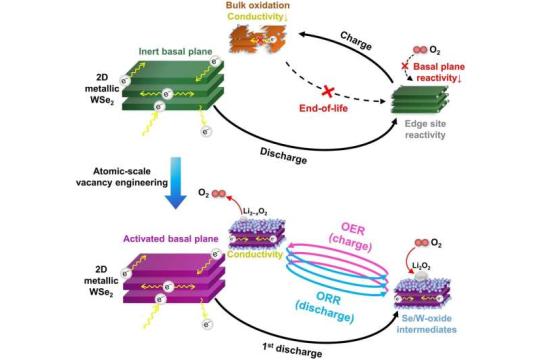 新型二维催化剂激活锂空气电池潜力，性能瓶颈被突破