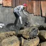 特朗普对伊朗战争可能使世界更加依赖煤炭