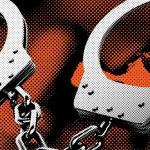 约会应用Feeld推自我评估工具“Reflections” 聚焦性癖与非传统关系认知