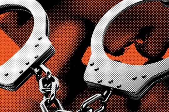 约会应用Feeld推自我评估工具“Reflections” 聚焦性癖与非传统关系认知