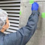 研究发现混凝土内部独立微生物区或将用于结构健康早期诊断