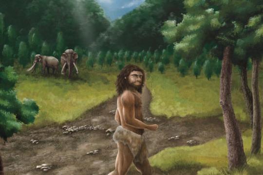 研究人员测序出距今约20万年的丹尼索瓦人高质量基因组