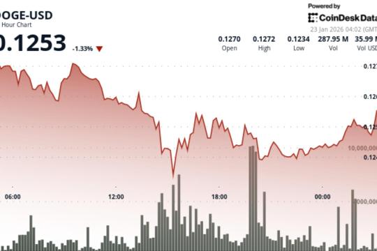 狗狗币回落约2% 清算压力拖累表情币走势