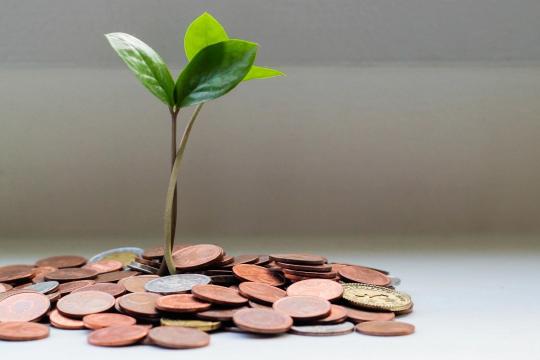 Optimism社区启动OP代币回购相关治理投票