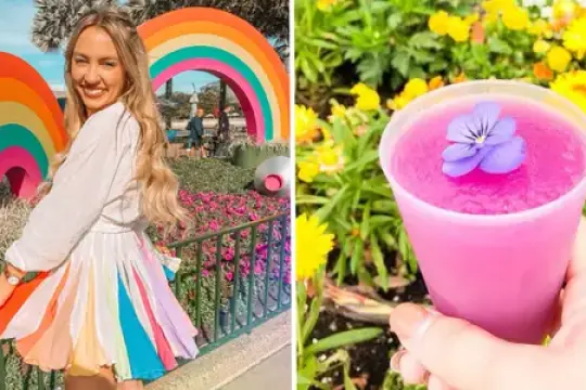 我曾是迪士尼乐园员工，如今仍常去春季游玩，我每年必做的5件事