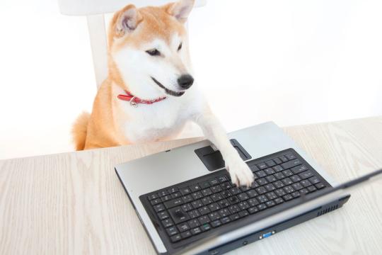 加密市场动态：比特币冲高回落测试阻力位，SUI与XRP领涨带动山寨币成交放大