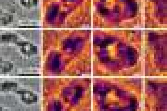 滑铁卢大学团队成立非营利组织OQD 推出开源全栈离子阱量子计算机