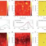 掺铯策略助力钙钛矿太阳能电池实现26.61%认证效率
