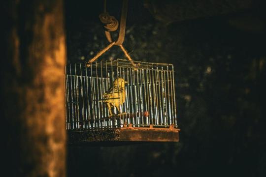比特币开发者讨论量子风险“金丝雀”方案：仅在链上出现攻击信号后限制旧钱包