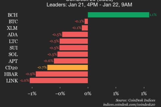 CoinDesk 20表现更新：比特币现金上涨1.1%，多数成分资产走低