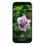 曝苹果筹备全新Siri应用与系统级AI改造 对标ChatGPT等聊天机器人