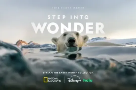 迪士尼与国家地理携手庆祝地球月，推出主题节目及《蜜蜂的秘密》《猩猩》首映等精彩内容