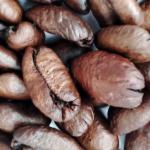 研究称含咖啡因与无咖啡因咖啡均与肠道微生物组变化及心理健康改善相关