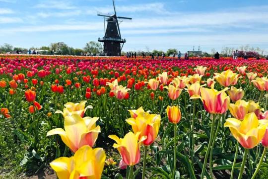 去年我游历了29个州，有3个我迫不及待想再去，还有2个可能短期内不会再回去