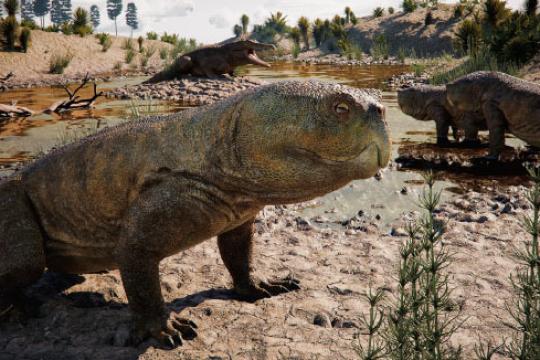 巴西发现新种喙龙类化石 显示三叠纪草食爬行动物多样性超预期