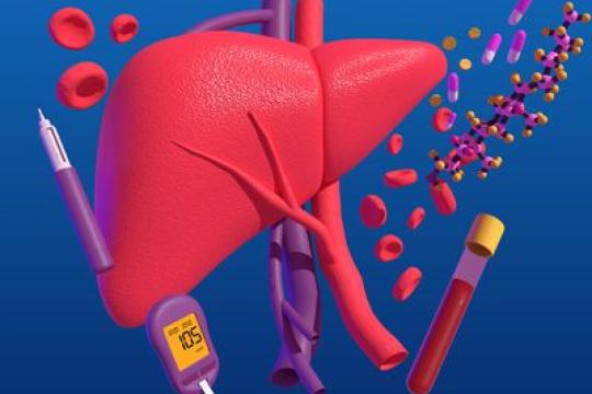 MASH治疗的新进展