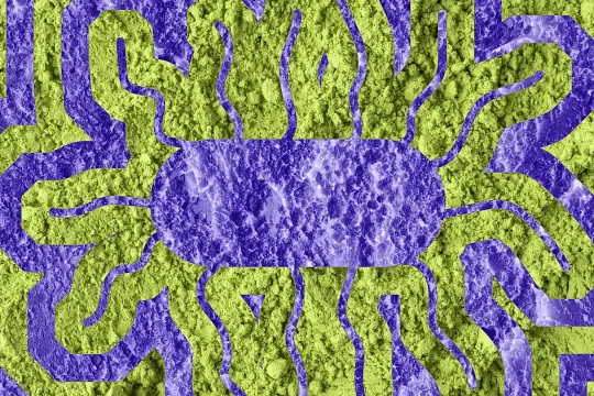 美国多州报告沙门氏菌感染 与一款膳食补充剂粉末相关产品被召回