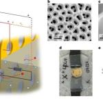 首创棘轮离子泵：用于海水淡化、能源回收与生物医学的新型膜技术