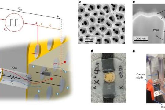 首创棘轮离子泵：用于海水淡化、能源回收与生物医学的新型膜技术