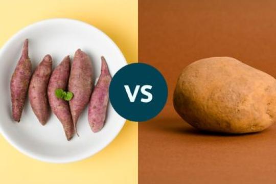 日本红薯与普通土豆：哪种更有利于血糖控制？