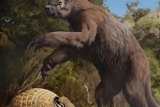 德州本德洞穴出土冰河时代大型哺乳动物化石 或指向约10万年前暖期