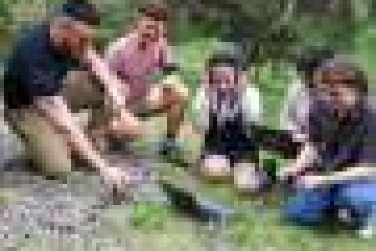 开放量子设计推动开源全栈量子计算平台，研究团队强调以协作促发展