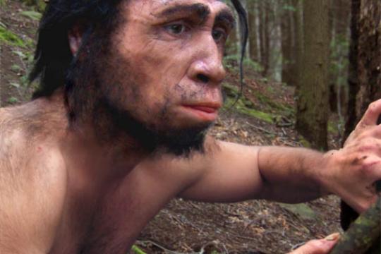 研究称中国古人类直立人与丹尼索瓦人或曾在东亚共存并发生基因交流