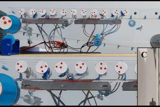 机械电机网络再现人类肌肉在负载增加时的响应行为