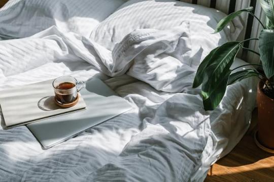 “法国式星期天”在社交媒体走红 被视为缓解工作焦虑的新休闲方式