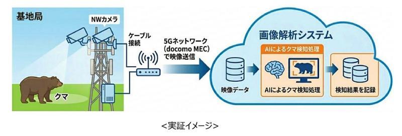ntt docomo higuma2.jpg
