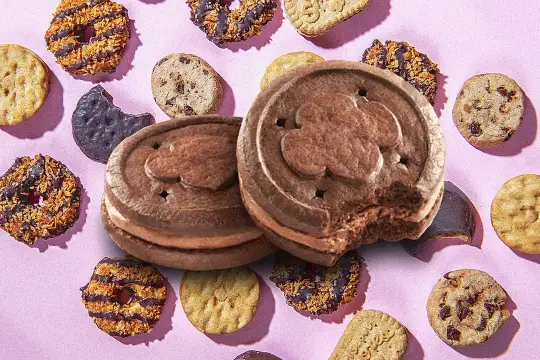 女童子军推出新款Exploremore饼干：从概念到上市历时数年