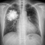 研究发现多模态AI会为“看不见”的图像编造细节