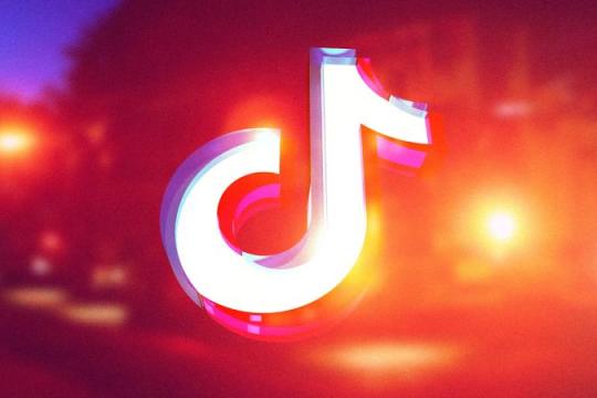 6个家庭起诉TikTok 称子女模仿“昏厥挑战”身亡