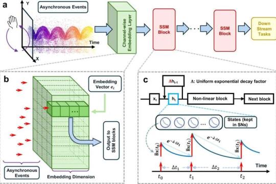 神经形态硬件软件协同设计：在边缘设备上高效运行实时人工智能