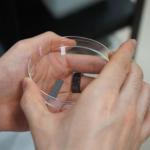 甲壳类生物废料涂层显著提升二氧化碳电转燃料效率