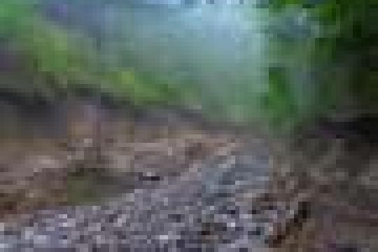 印度喀拉拉邦山体滑坡后推进城镇安置重建，但部分群体对搬迁安排存分歧