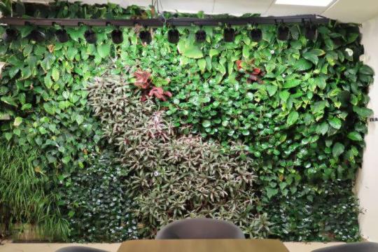 网络平台让室内绿墙变成可感知、可调控的智能生命系统