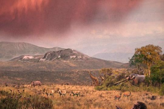 720万年前希腊猿股骨化石或揭示早期双足行走形态