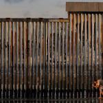 美国人口增长率明显放缓 移民减少成主因