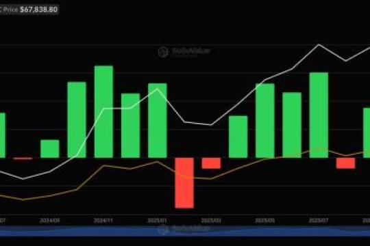 美国现货比特币ETF自去年10月以来首次实现月度净流入，比特币价格趋稳