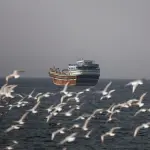 中国呼吁保障霍尔木兹海峡航行安全 航运成本随冲突升级飙升