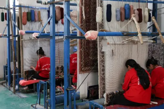 加拿大将取消海外人权侵害调查监察机构 卡尼称运作未达预期