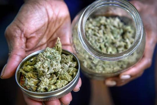 特朗普政府推动大麻重新分类 研究与合规环境或迎重大调整