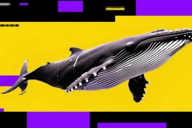 比特币回调或未结束：鲸鱼反弹减仓、零售逢低加仓引发看跌信号