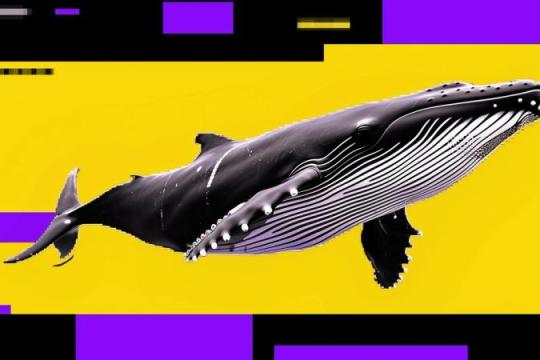 比特币回调或未结束：鲸鱼反弹减仓、零售逢低加仓引发看跌信号