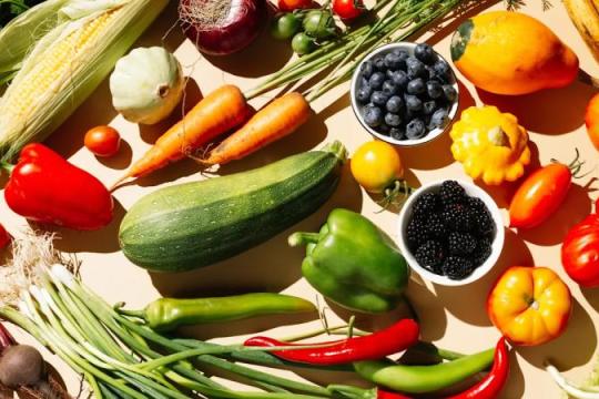 健康饮食不必牺牲口感：从意大利面看可持续食品转型