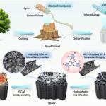 工程化轻木让太阳能在日落后继续“发热”